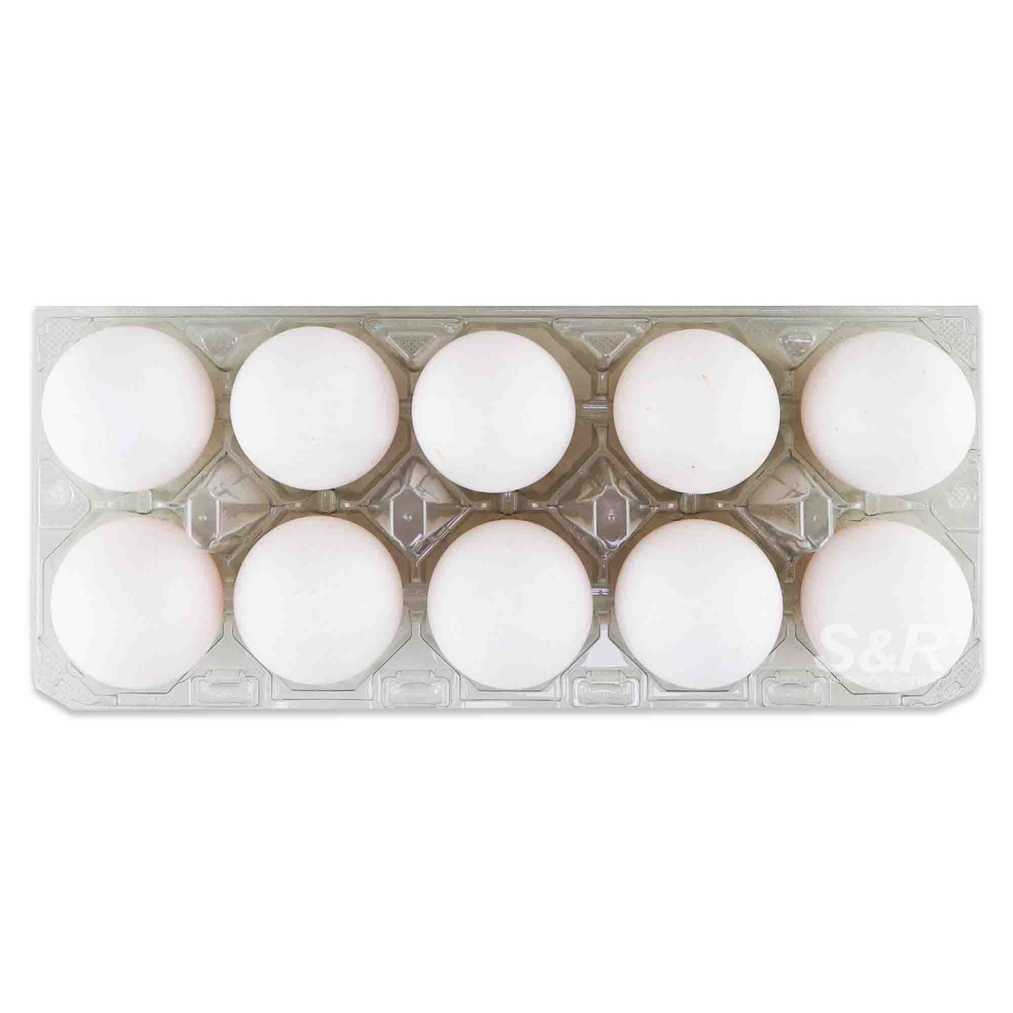 Bounty Fresh Premium Jumbo Eggs 10pcs